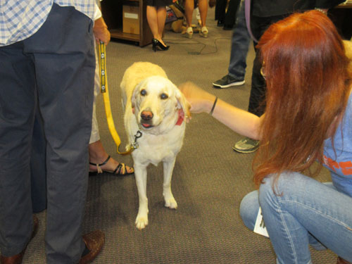 Therapy dog Lance in court