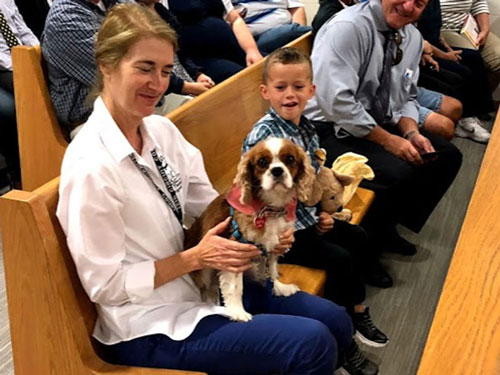 Therapy dog Stella on adoption day in Manatee County