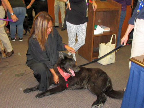 Judge Curley with therapy dog Buck (retired)