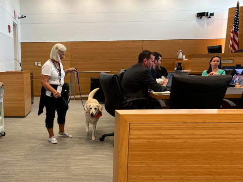 A woman with a dog on a leash is walking around a courtroom.